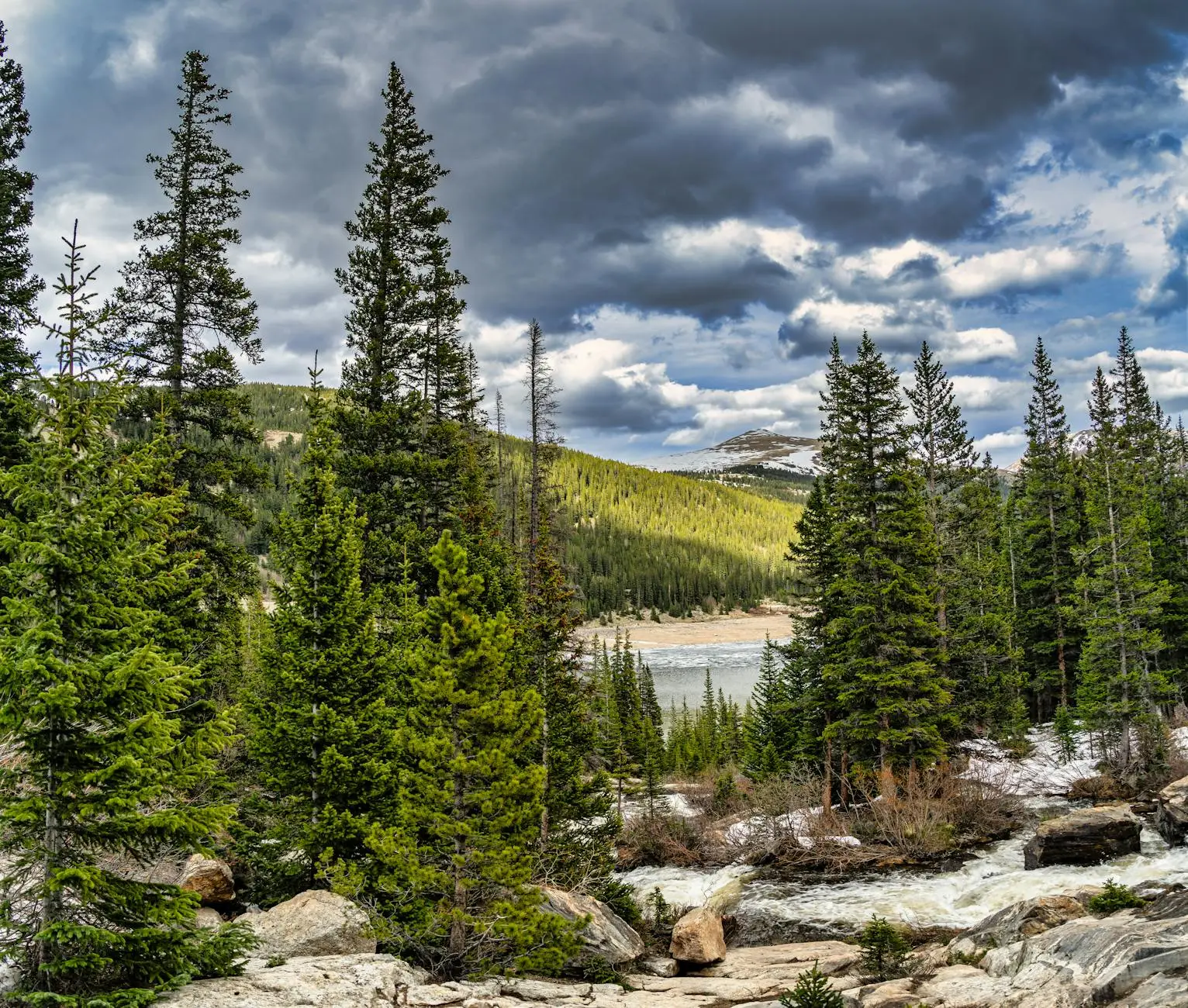 serene colorado mountain landscape with trees
