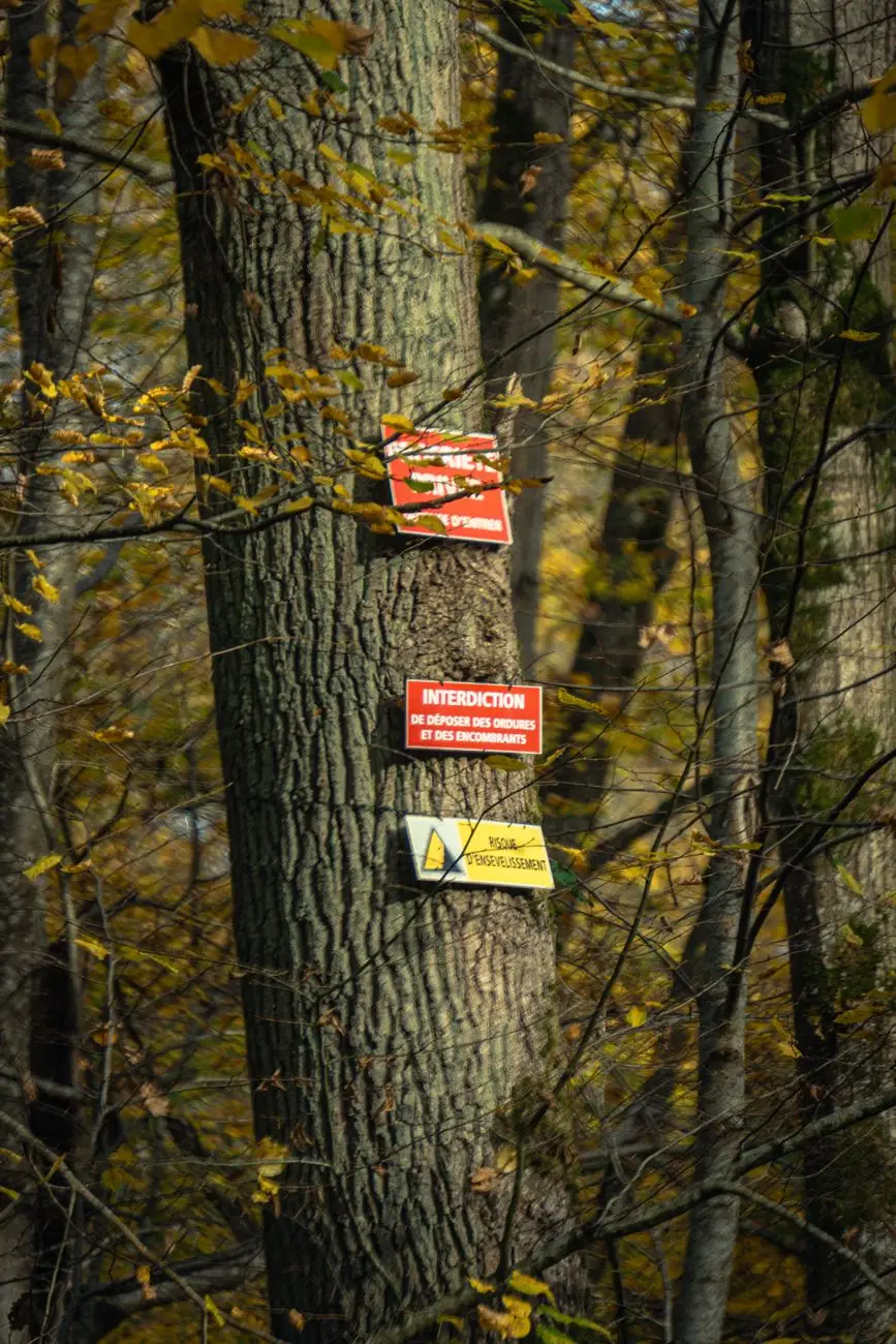 tree with warning signs in autumn forest
